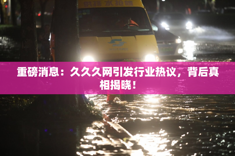 重磅消息：久久久网引发行业热议，背后真相揭晓！
