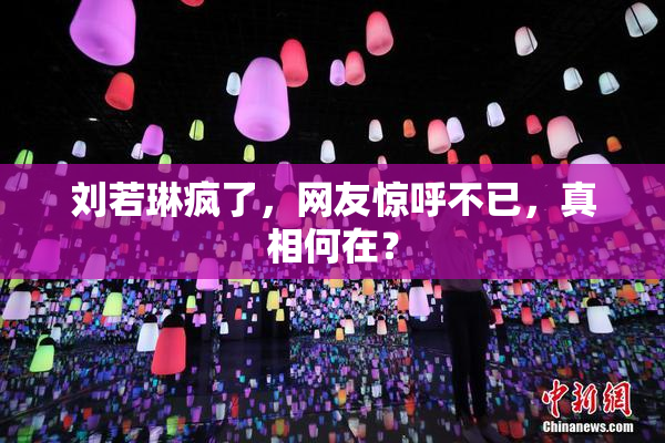刘若琳疯了，网友惊呼不已，真相何在？
