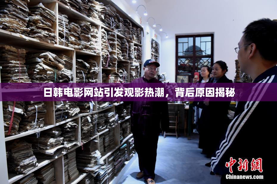 日韩电影网站引发观影热潮，背后原因揭秘
