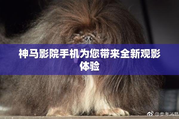 神马影院手机为您带来全新观影体验