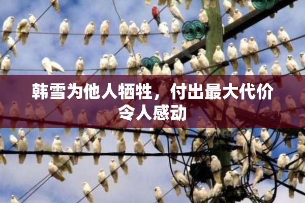 韩雪为他人牺牲，付出最大代价令人感动