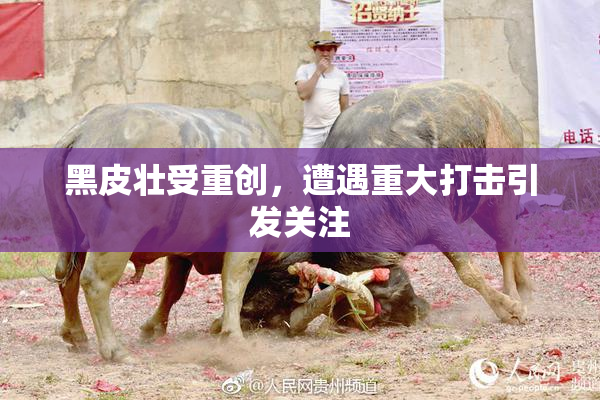 黑皮壮受重创，遭遇重大打击引发关注