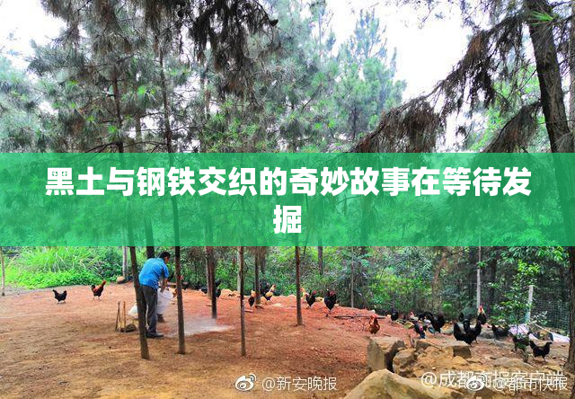 黑土与钢铁交织的奇妙故事在等待发掘