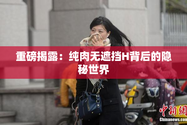 重磅揭露：纯肉无遮挡H背后的隐秘世界