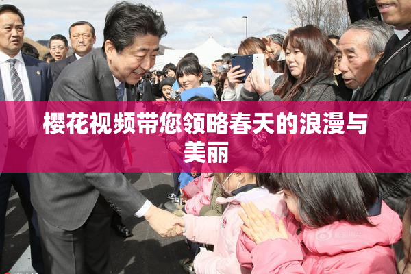 樱花视频带您领略春天的浪漫与美丽