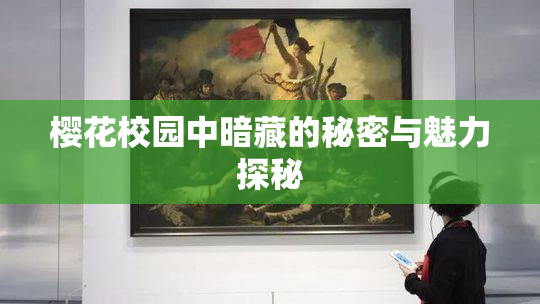 樱花校园中暗藏的秘密与魅力探秘