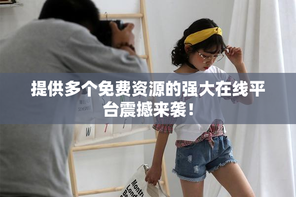 提供多个免费资源的强大在线平台震撼来袭！