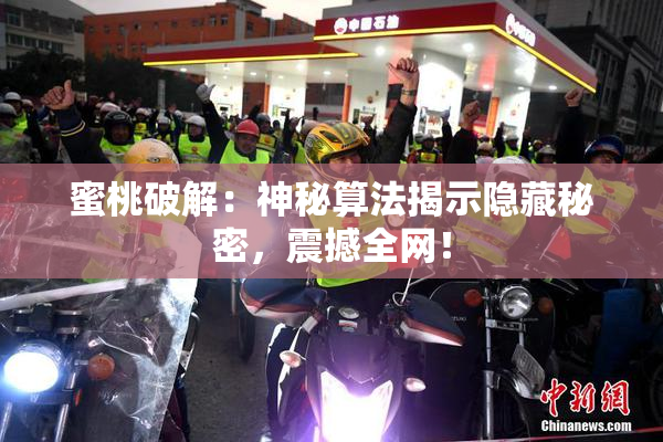 蜜桃破解：神秘算法揭示隐藏秘密，震撼全网！