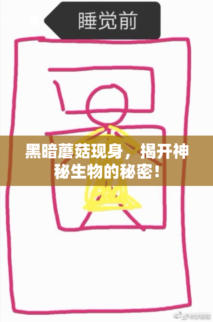黑暗蘑菇现身，揭开神秘生物的秘密！