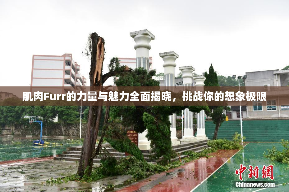 肌肉Furr的力量与魅力全面揭晓，挑战你的想象极限