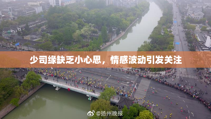 少司缘缺乏小心思，情感波动引发关注