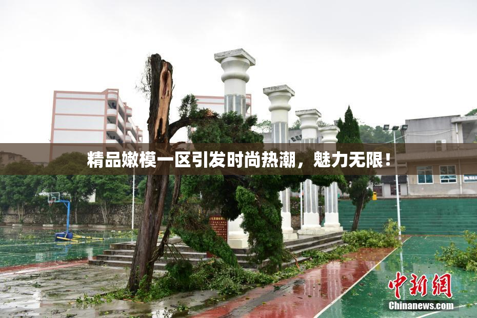 精品嫩模一区引发时尚热潮，魅力无限！