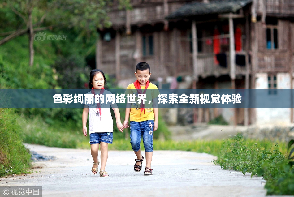 色彩绚丽的网络世界，探索全新视觉体验