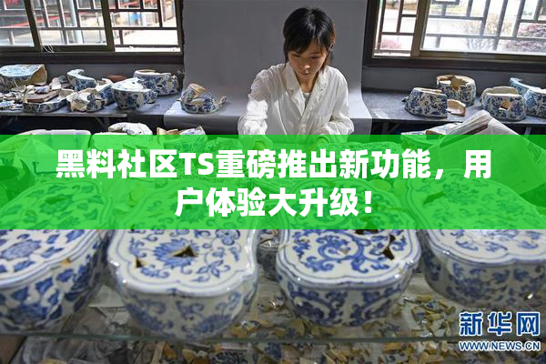 黑料社区TS重磅推出新功能，用户体验大升级！