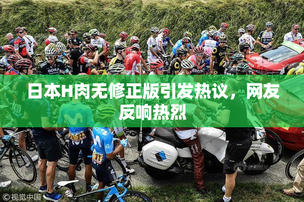 日本H肉无修正版引发热议，网友反响热烈
