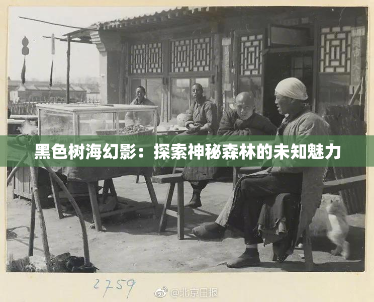 黑色树海幻影：探索神秘森林的未知魅力