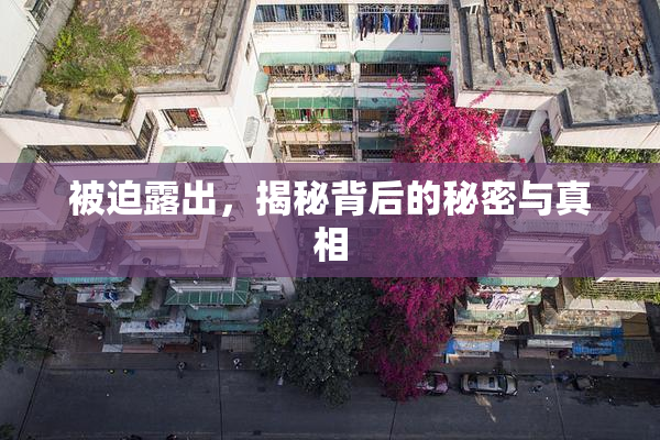 被迫露出，揭秘背后的秘密与真相