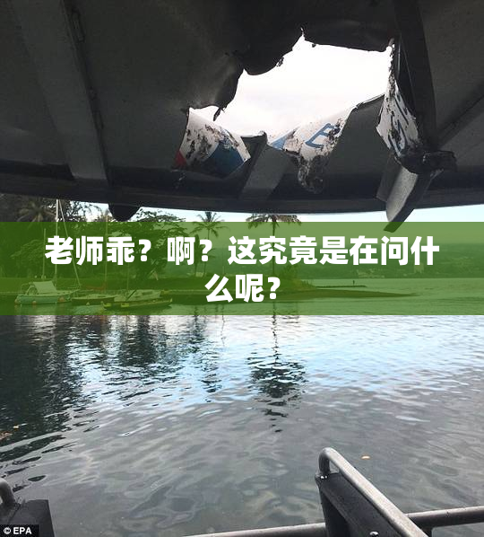 老师乖？啊？这究竟是在问什么呢？
