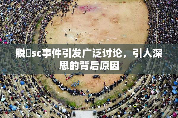 脱糞sc事件引发广泛讨论，引人深思的背后原因