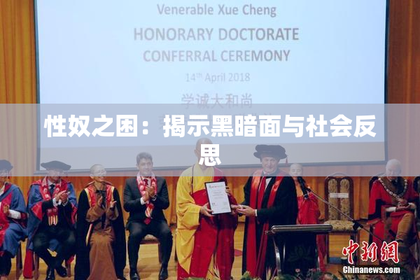 性奴之困：揭示黑暗面与社会反思