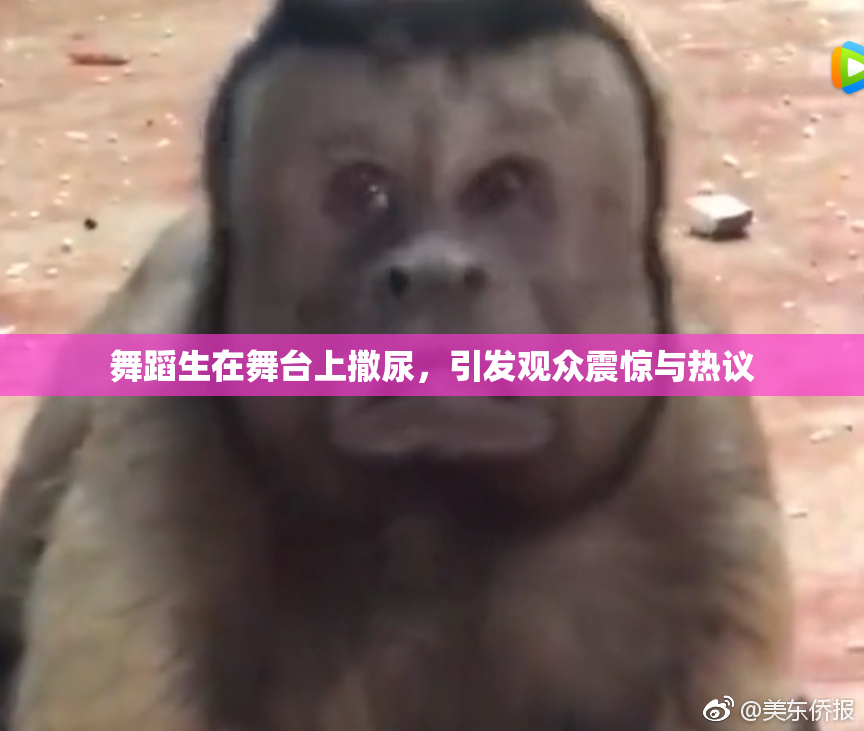 舞蹈生在舞台上撒尿，引发观众震惊与热议