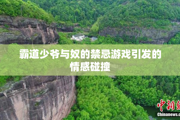 霸道少爷与奴的禁忌游戏引发的情感碰撞