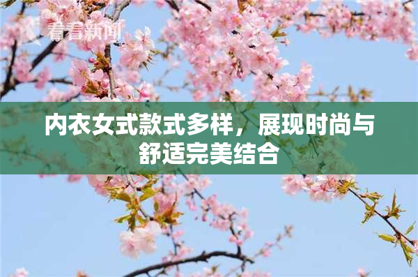 内衣女式款式多样，展现时尚与舒适完美结合
