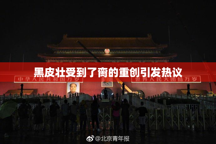 黑皮壮受到了脔的重创引发热议