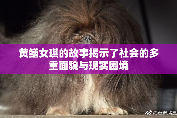 黄鳝女琪的故事揭示了社会的多重面貌与现实困境