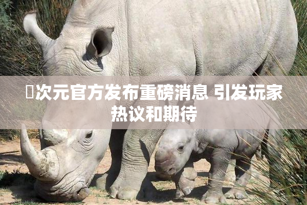 囧次元官方发布重磅消息 引发玩家热议和期待