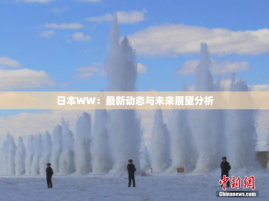 日本WW：最新动态与未来展望分析