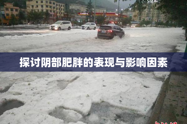 探讨阴部肥胖的表现与影响因素