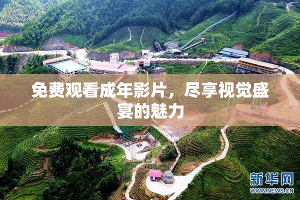 免费观看成年影片，尽享视觉盛宴的魅力
