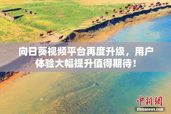 向日葵视频平台再度升级，用户体验大幅提升值得期待！