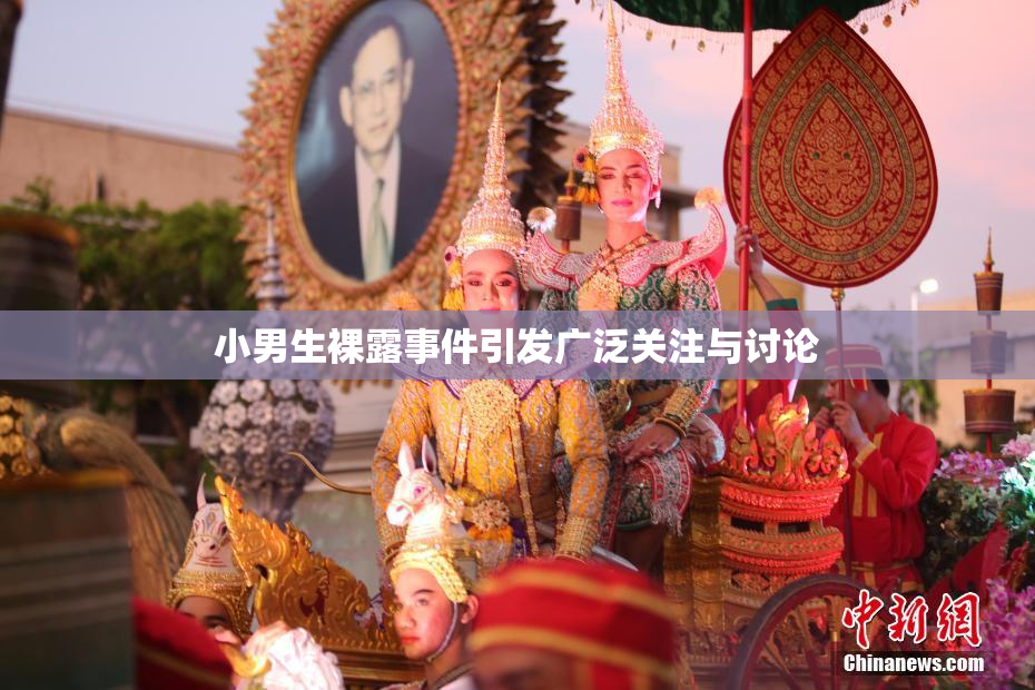 小男生裸露事件引发广泛关注与讨论