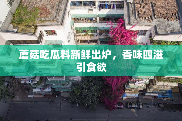 蘑菇吃瓜料新鲜出炉，香味四溢引食欲