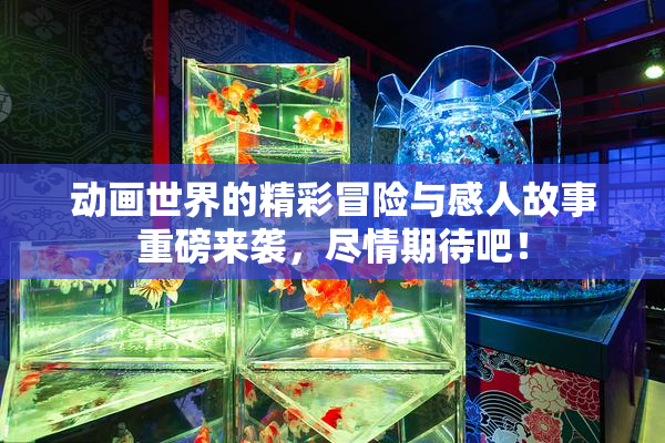 动画世界的精彩冒险与感人故事重磅来袭，尽情期待吧！