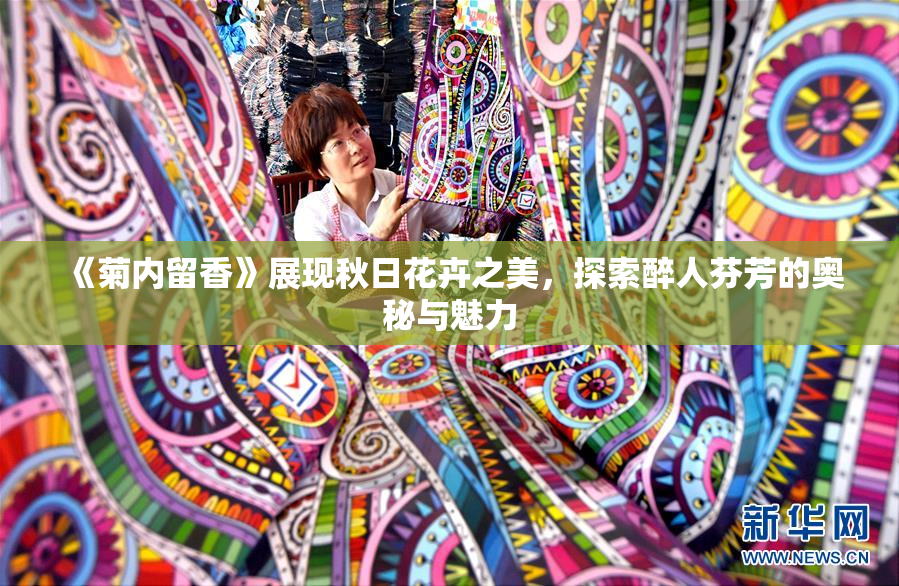 《菊内留香》展现秋日花卉之美，探索醉人芬芳的奥秘与魅力