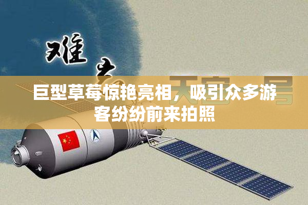 巨型草莓惊艳亮相，吸引众多游客纷纷前来拍照