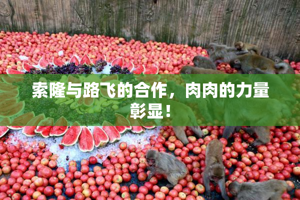 索隆与路飞的合作，肉肉的力量彰显！
