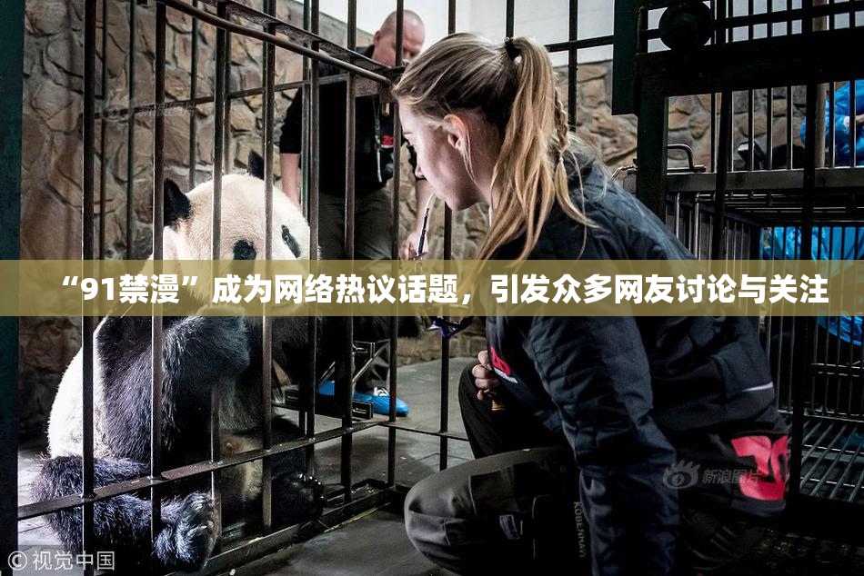 “91禁漫”成为网络热议话题，引发众多网友讨论与关注