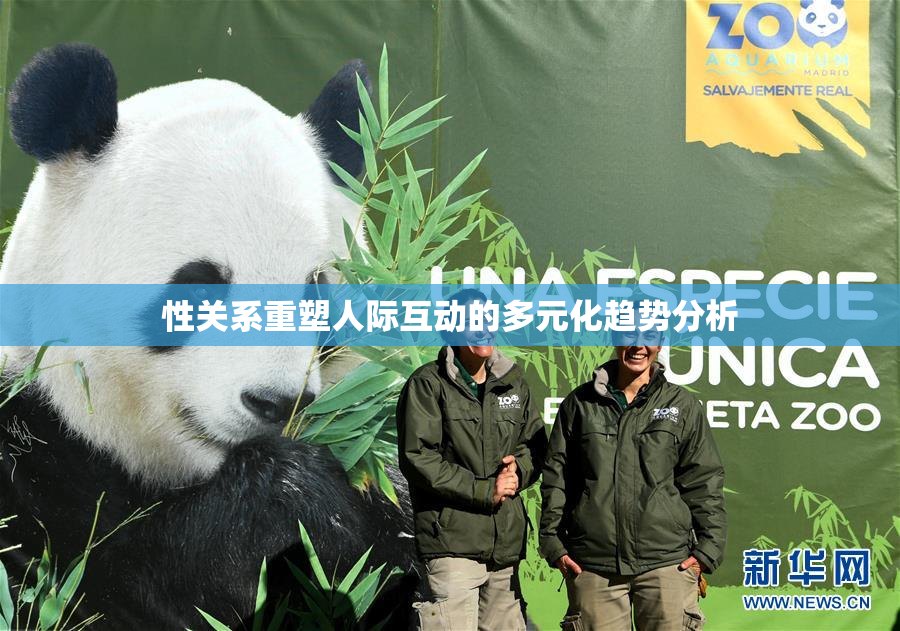性关系重塑人际互动的多元化趋势分析
