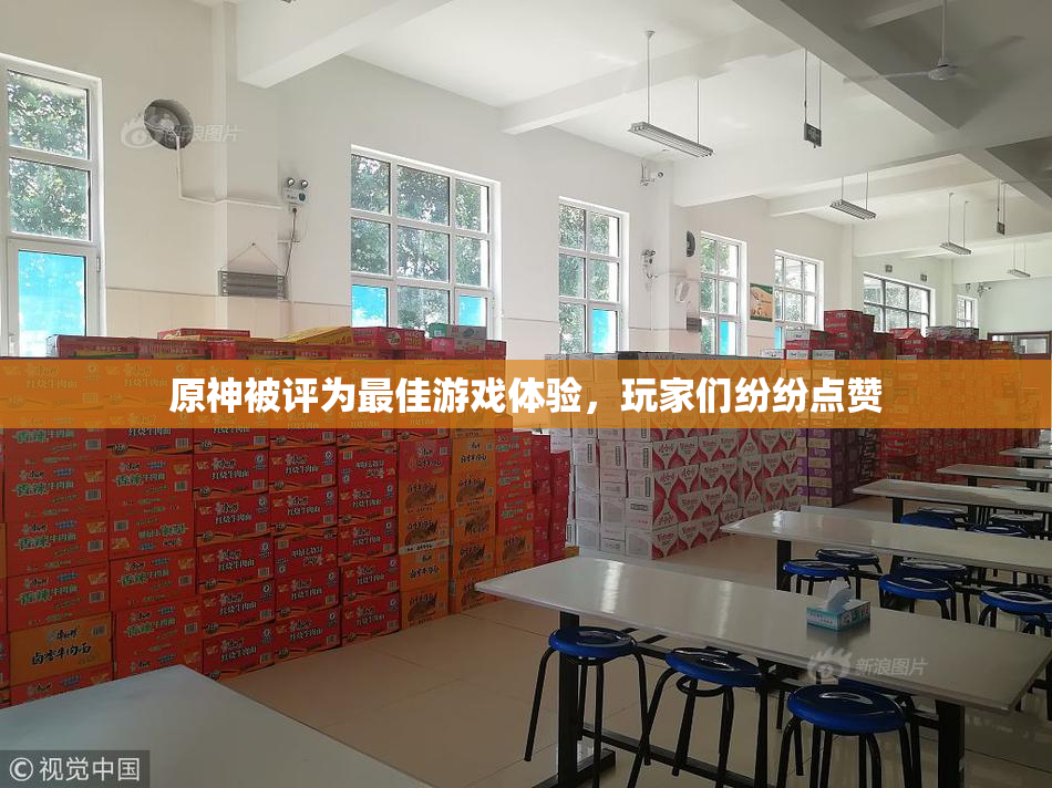 原神被评为最佳游戏体验，玩家们纷纷点赞