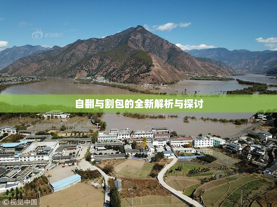 自翻与割包的全新解析与探讨