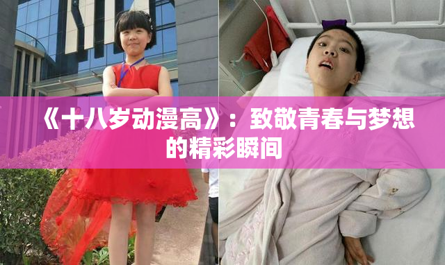 《十八岁动漫高》：致敬青春与梦想的精彩瞬间
