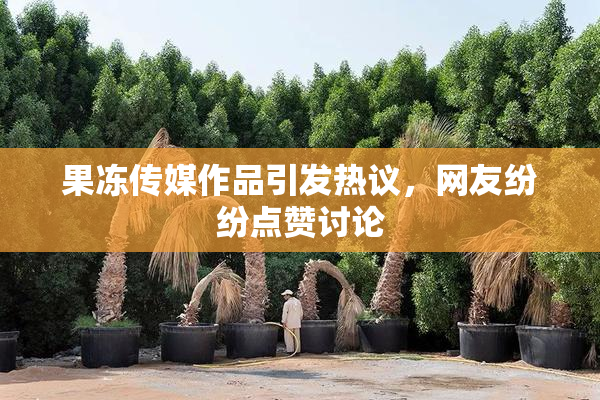 果冻传媒作品引发热议，网友纷纷点赞讨论