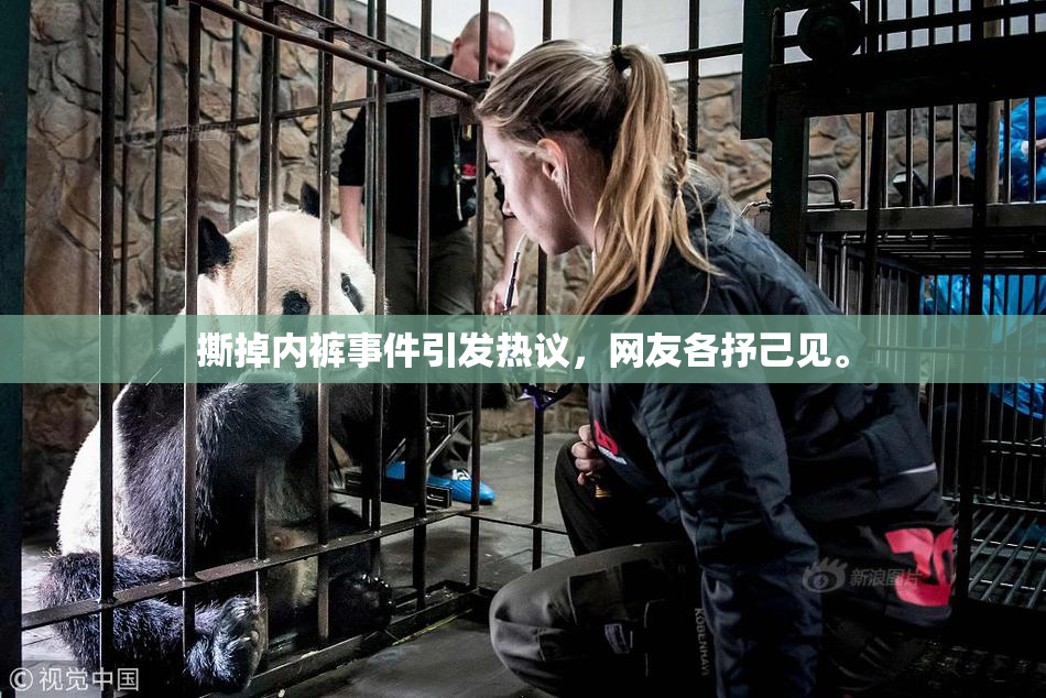 撕掉内裤事件引发热议，网友各抒己见。