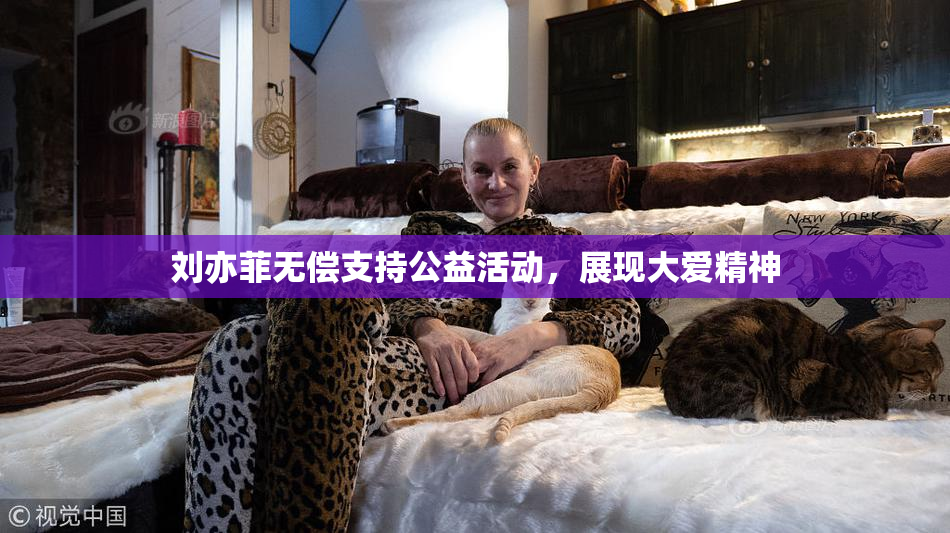 刘亦菲无偿支持公益活动，展现大爱精神