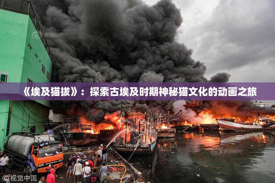 《埃及猫拔》：探索古埃及时期神秘猫文化的动画之旅