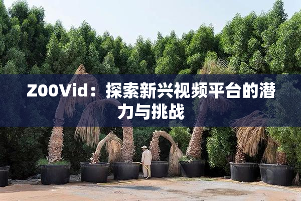 Z00Vid：探索新兴视频平台的潜力与挑战
